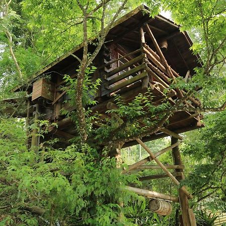 Lai Home Country Cottage B&B Meishan Exteriér fotografie